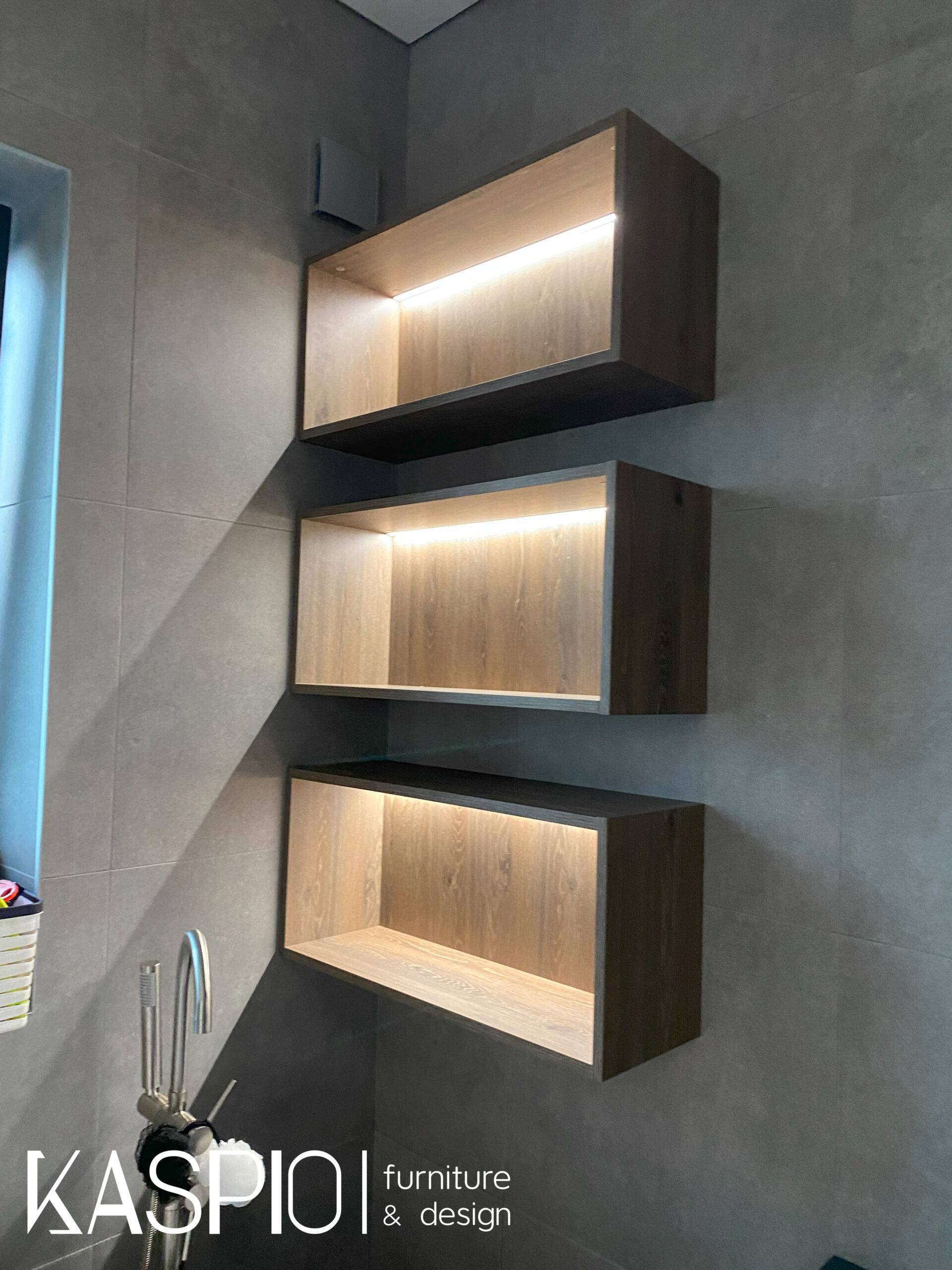 cabinet 01-5